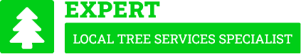 Bay of Plenty Arborist - Tree Removal Bay of Plenty